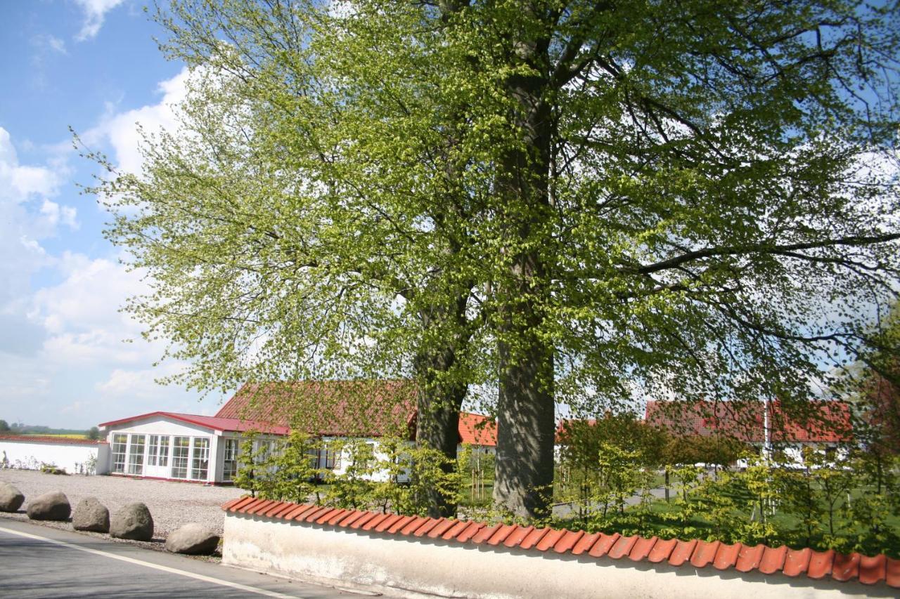 Hoby Gard Bed & Breakfast Borrby Exterior photo
